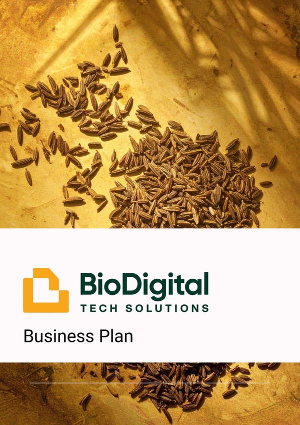 Business plan cover